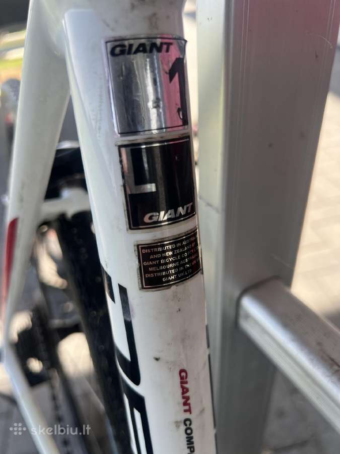 Giant Defy Plentinis - nuotraukos Nr. 8