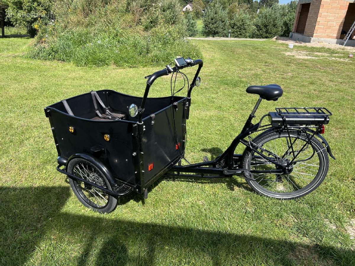 Vaikams vezioti elektrinis dviratis - nuotraukos Nr. 5