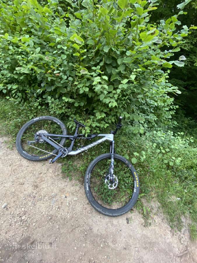 Canyon neuron cf8 - nuotraukos Nr. 3