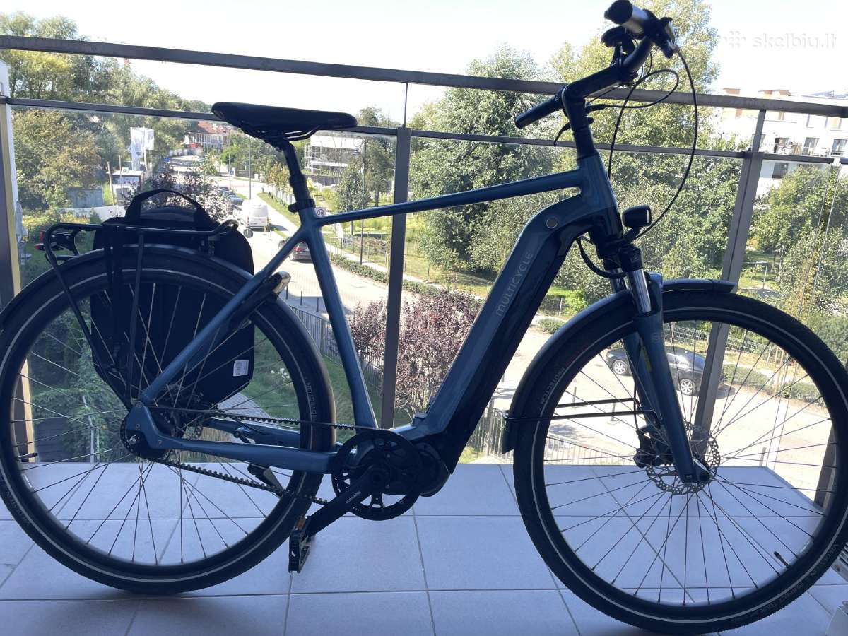 Multicycle Legacy Emb Shimano Alfine Di2 - nuotraukos Nr. 3