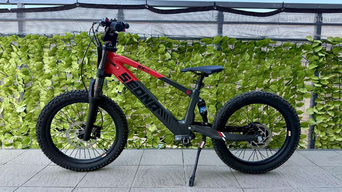 Elektrinis balansinis dviratis Sedna Sx20 - nuotraukos Nr. 2