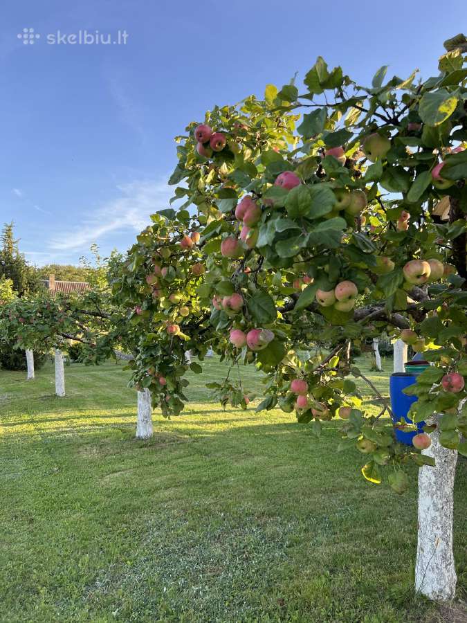 12 a sodas su nameliu ir naujai įrengtais pamatais - nuotraukos Nr. 16