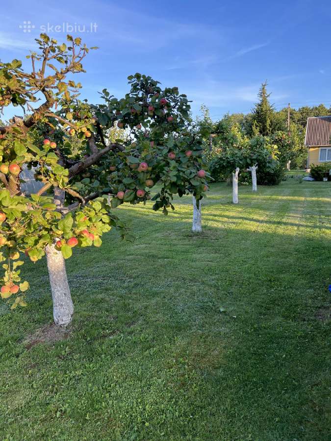 12 a sodas su nameliu ir naujai įrengtais pamatais - nuotraukos Nr. 23