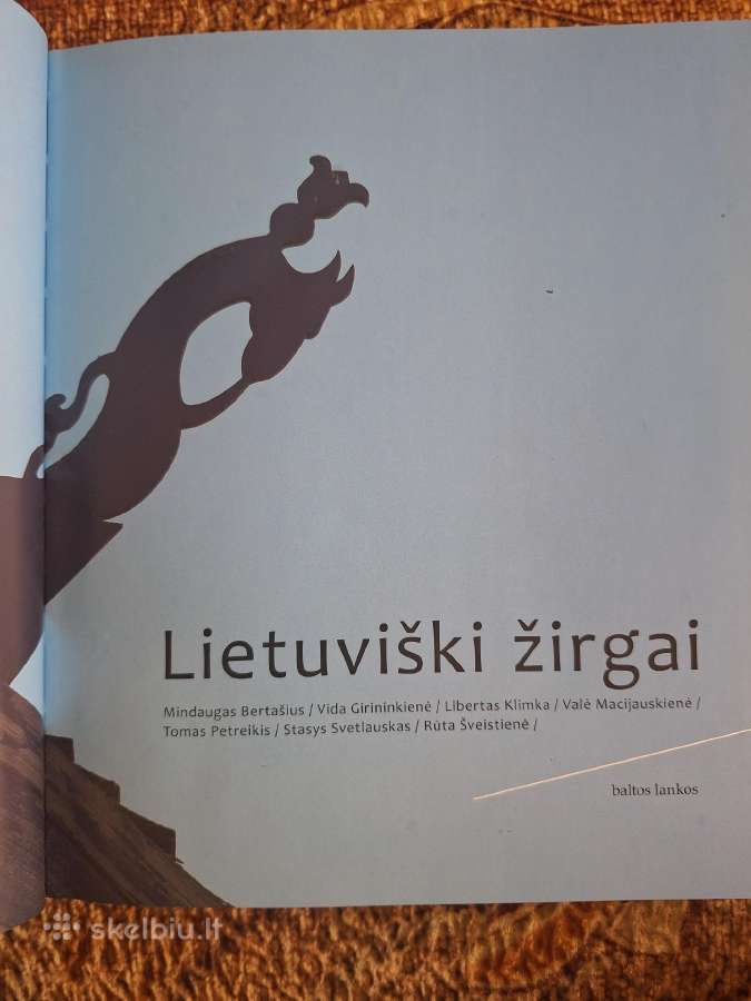 Lietuviški žirgai - nuotraukos Nr. 2
