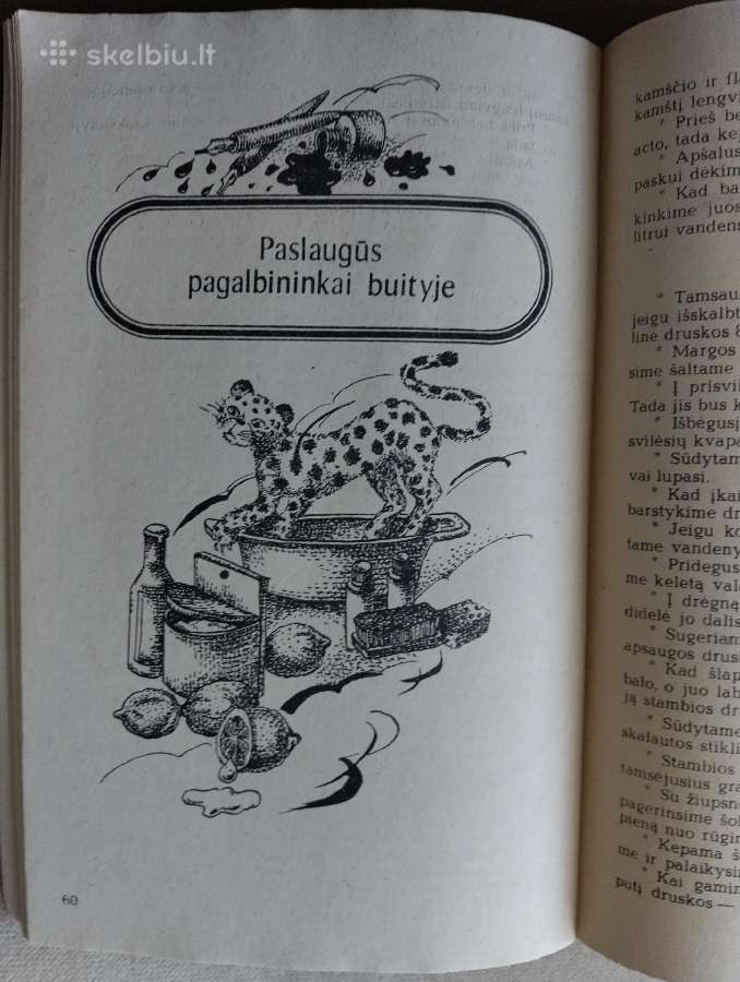 N. Šadrina-šeimininkės patarėjas - nuotraukos Nr. 2