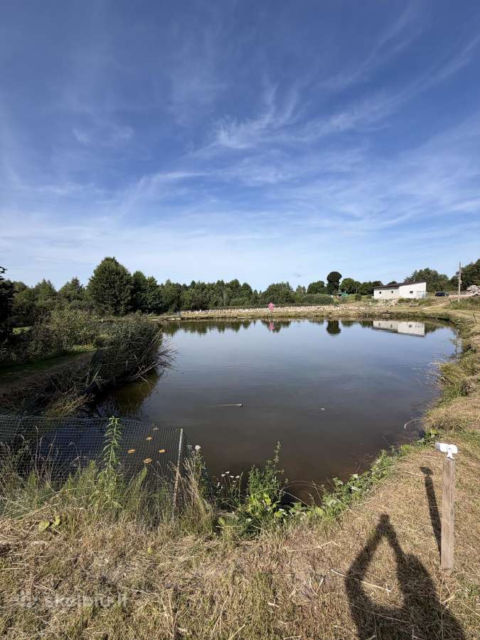 Parduodu 150ha žemės sklypa - nuotraukos Nr. 8
