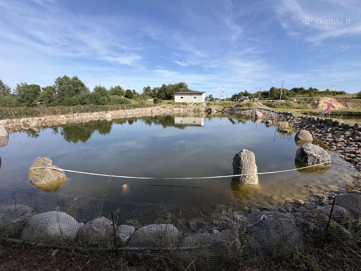Parduodu 150ha žemės sklypa - nuotraukos Nr. 11