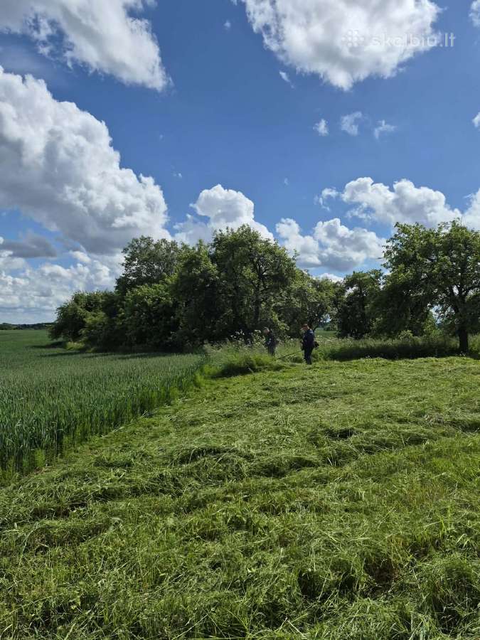 Sklypas Su Gyvenamuoju Namu Magūnų Km. - nuotraukos Nr. 12