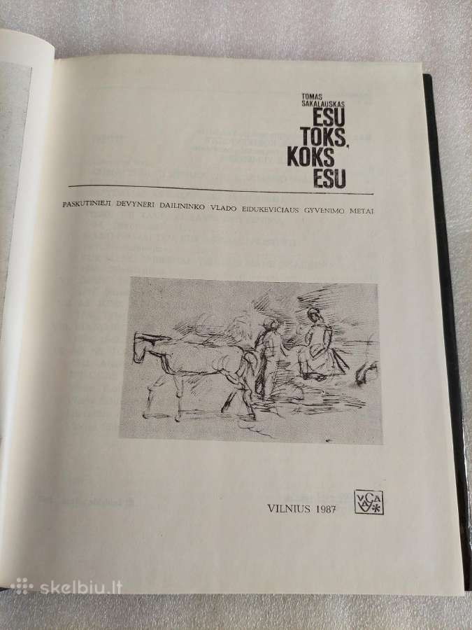 Esu toks, koks esu - nuotraukos Nr. 2