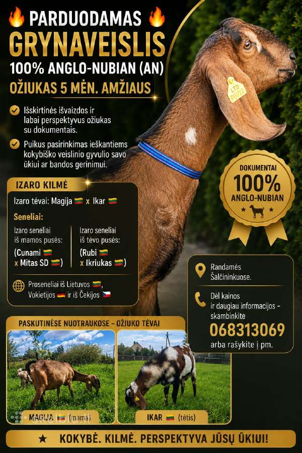 100% An ožiukas 5,5mėn. - nuotraukos Nr. 6