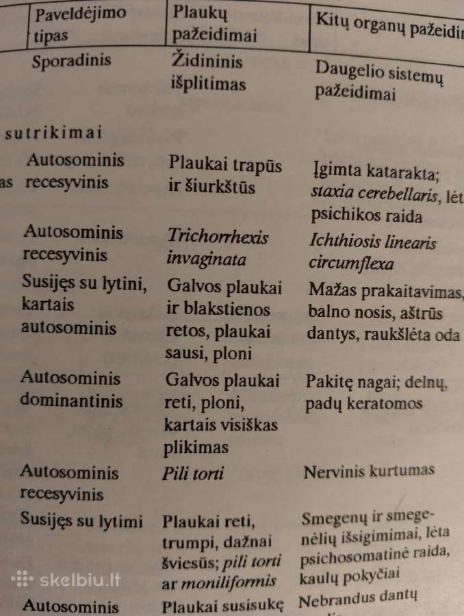P.gailevičius-plaukų ligos - nuotraukos Nr. 3