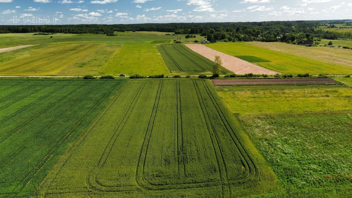Parduodamas 84 a sklypas Širvintų raj. Kaimynų k. - nuotraukos Nr. 5