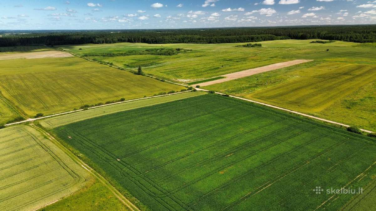 Parduodamas 84 a sklypas Širvintų raj. Kaimynų k. - nuotraukos Nr. 6