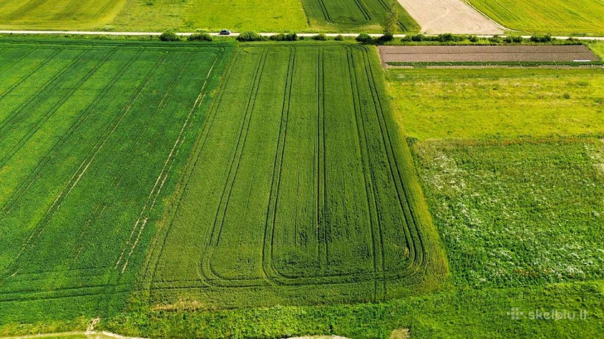 Parduodamas 84 a sklypas Širvintų raj. Kaimynų k. - nuotraukos Nr. 8
