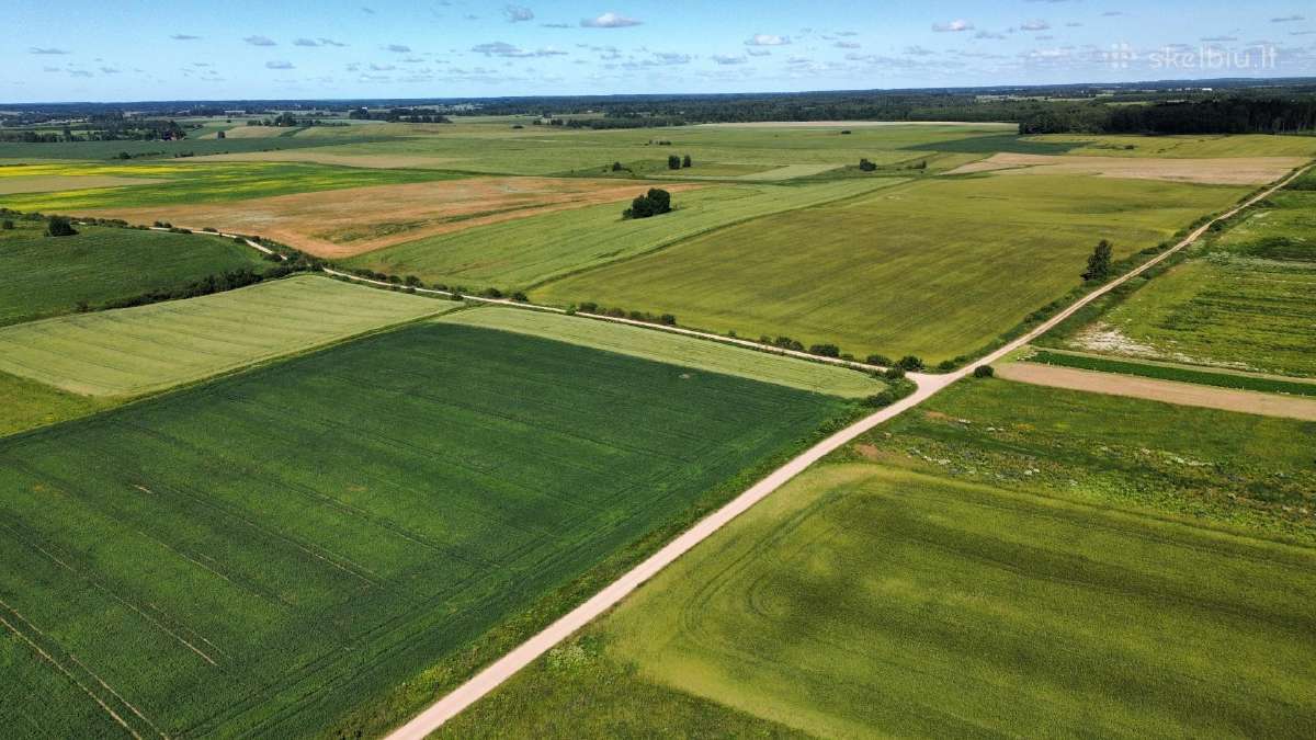 Parduodamas 84 a sklypas Širvintų raj. Kaimynų k. - nuotraukos Nr. 10