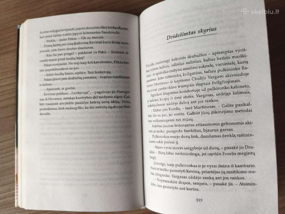 Diana Haviland "Aistringieji apsimetėliai" - nuotraukos Nr. 7