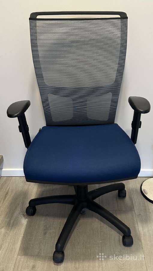 Ergonominė darbo kėdė - Gurda - nuotraukos Nr. 2