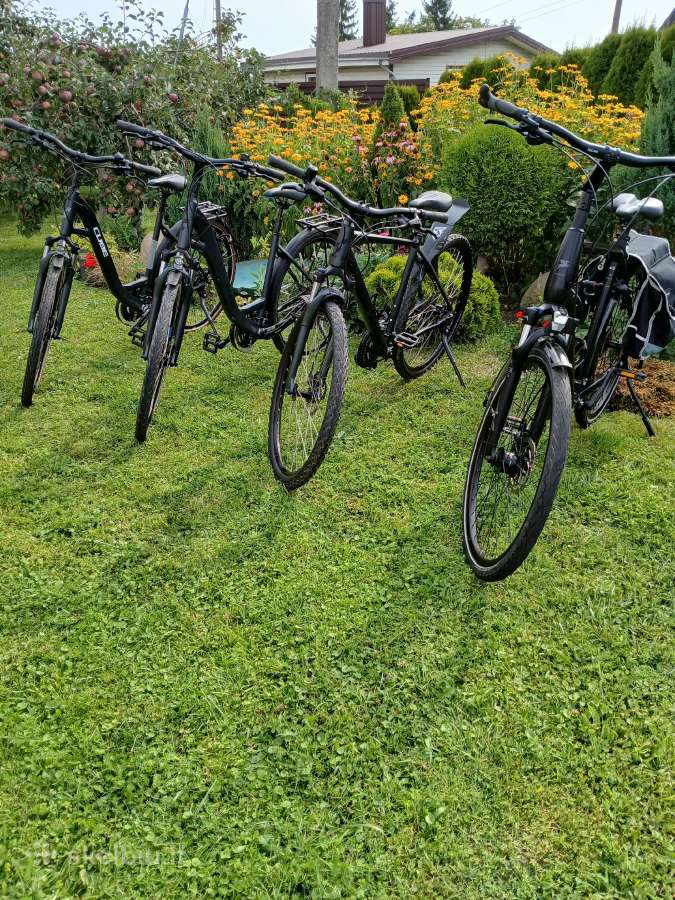 Cube KTM bergemont gazelle trek kalkoff pegasus - nuotraukos Nr. 3