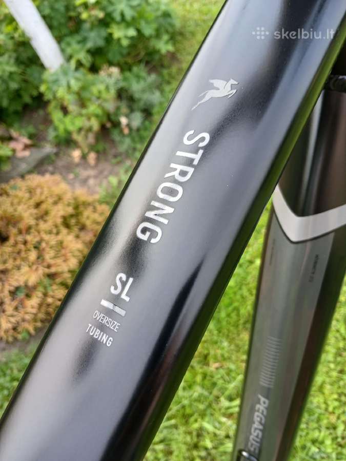 Pegasus strong - nuotraukos Nr. 7
