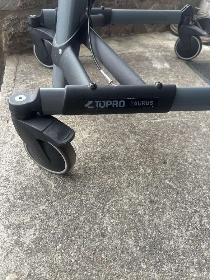 Elektrinė vaikštynė Topro Taurus E Premium - nuotraukos Nr. 4