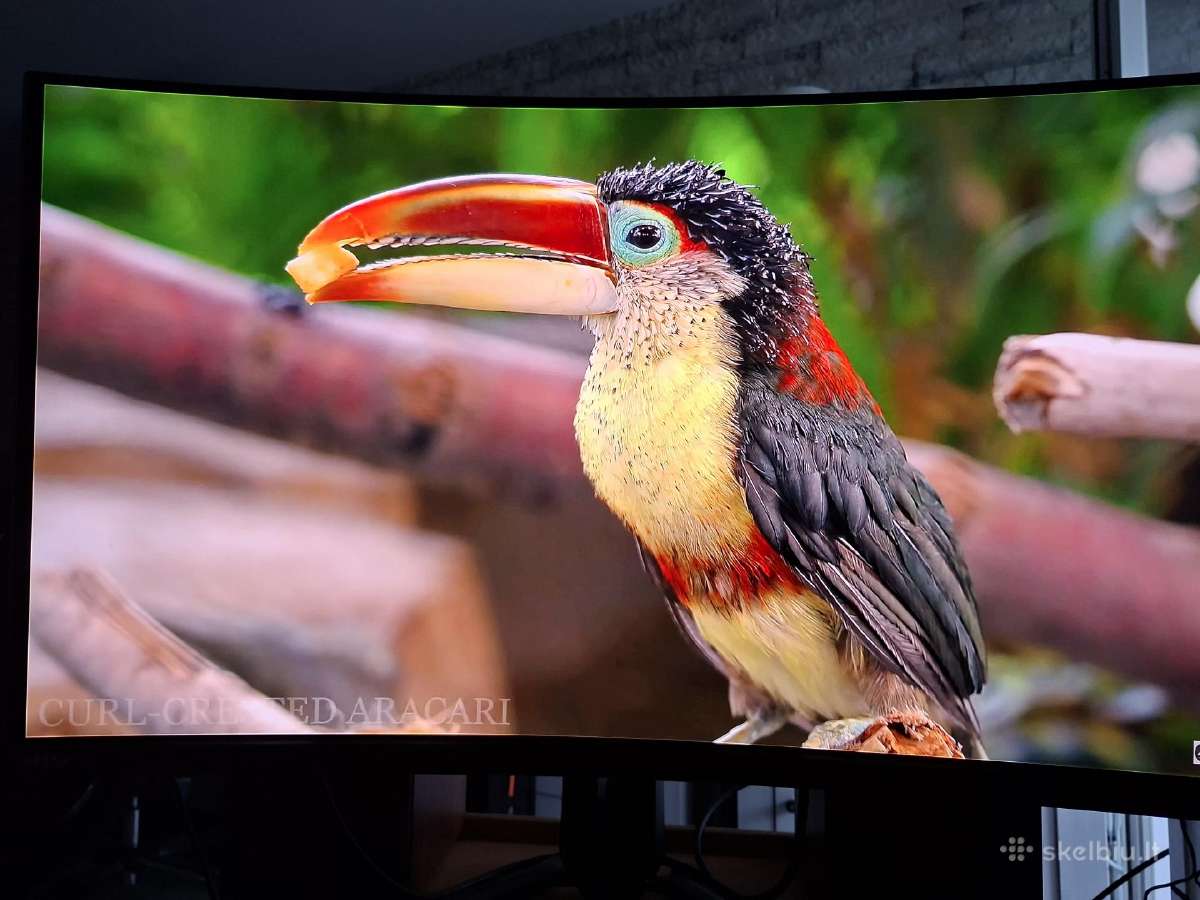 Monitorius Msi Mpg 321curx - 240hz 4k 32'' - nuotraukos Nr. 2
