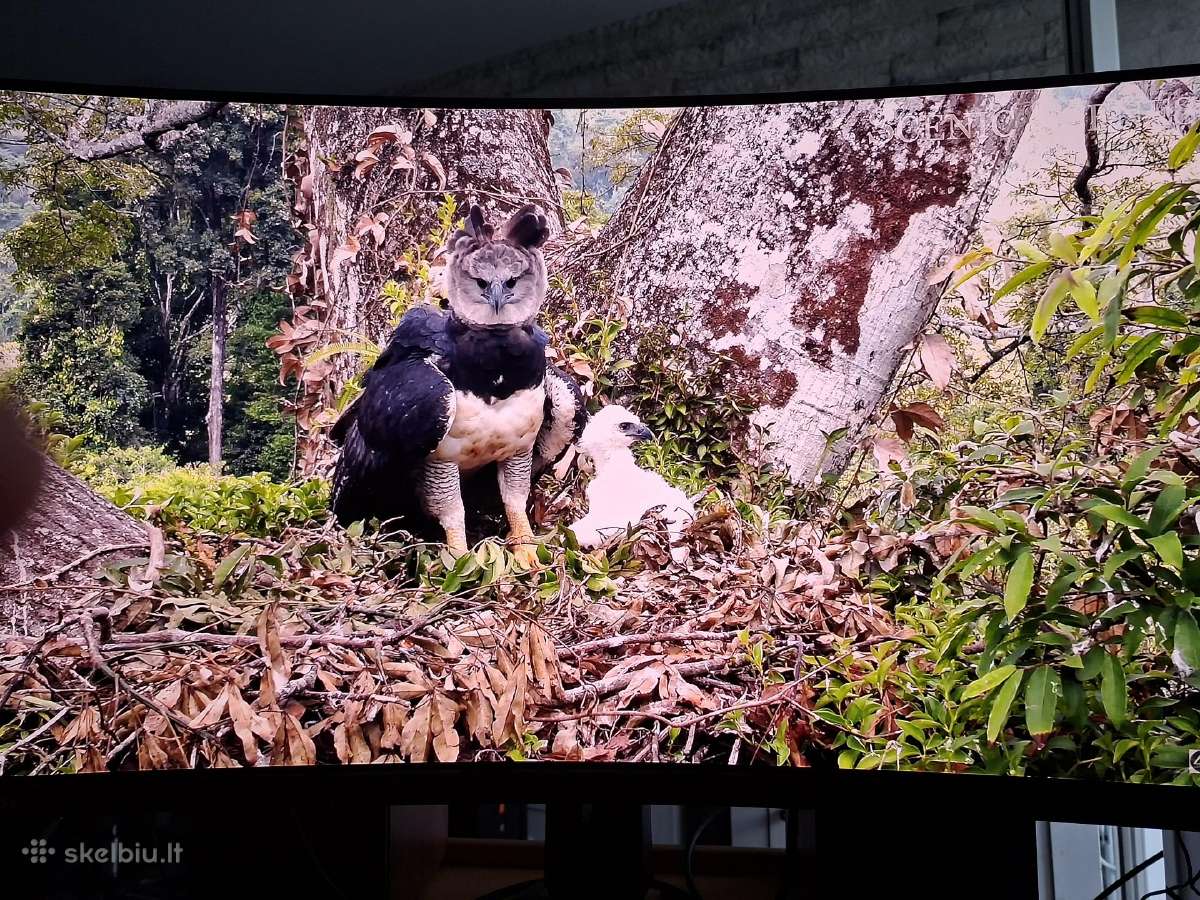Monitorius Msi Mpg 321curx - 240hz 4k 32'' - nuotraukos Nr. 3
