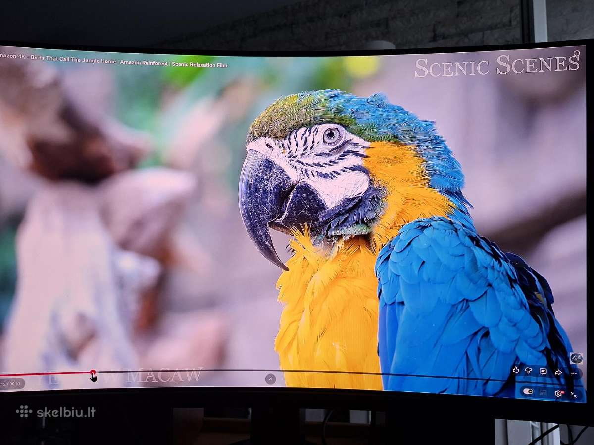 Monitorius Msi Mpg 321curx - 240hz 4k 32'' - nuotraukos Nr. 4