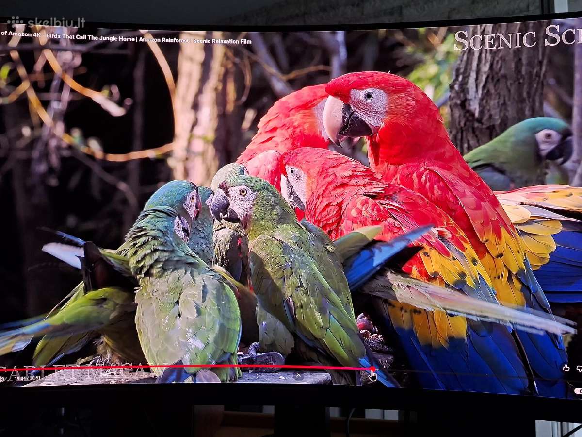 Monitorius Msi Mpg 321curx - 240hz 4k 32'' - nuotraukos Nr. 5