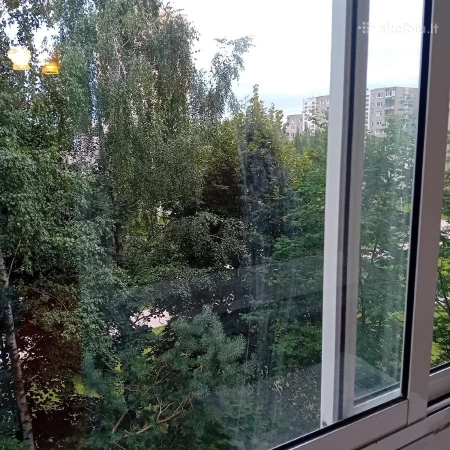 Vos 15 min iki Mru ir Viko - nuotraukos Nr. 4