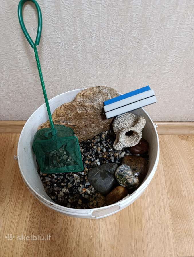 Akvariumas - nuotraukos Nr. 2