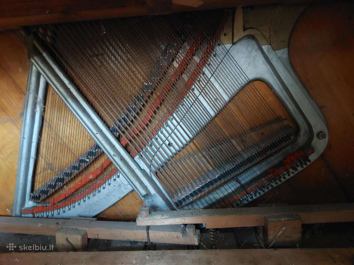 A. Rosenblatt Dresden antikvarinis paininas - nuotraukos Nr. 8