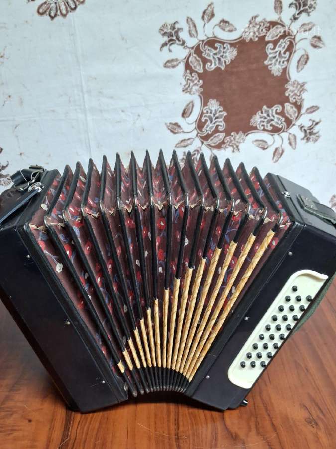 Armonika - nuotraukos Nr. 5
