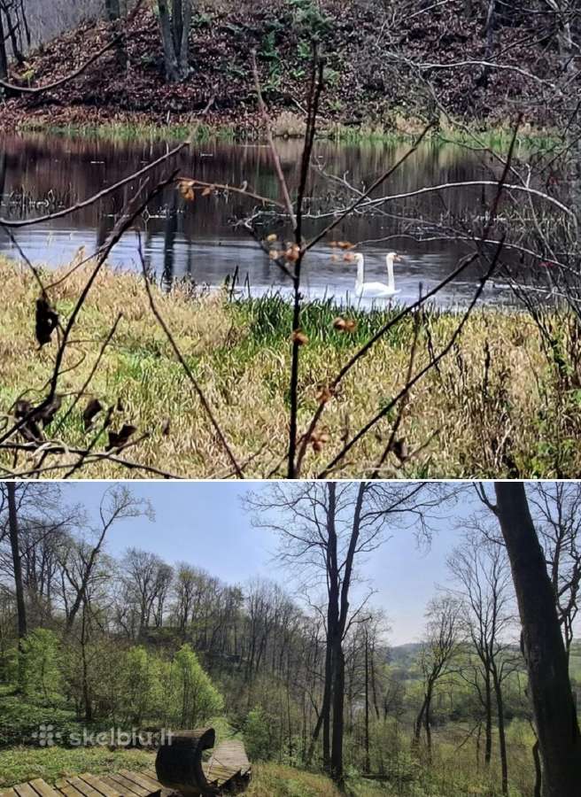 Parduodamas parkas - sodyba 3,6ha - nuotraukos Nr. 3