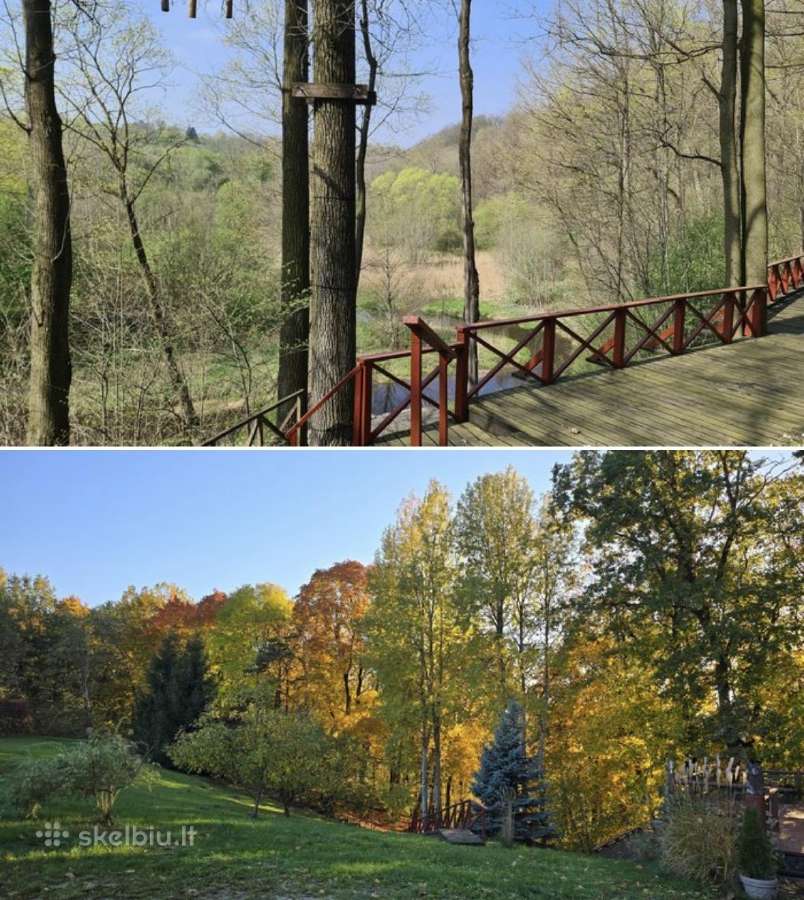 Parduodamas parkas - sodyba 3,6ha - nuotraukos Nr. 4