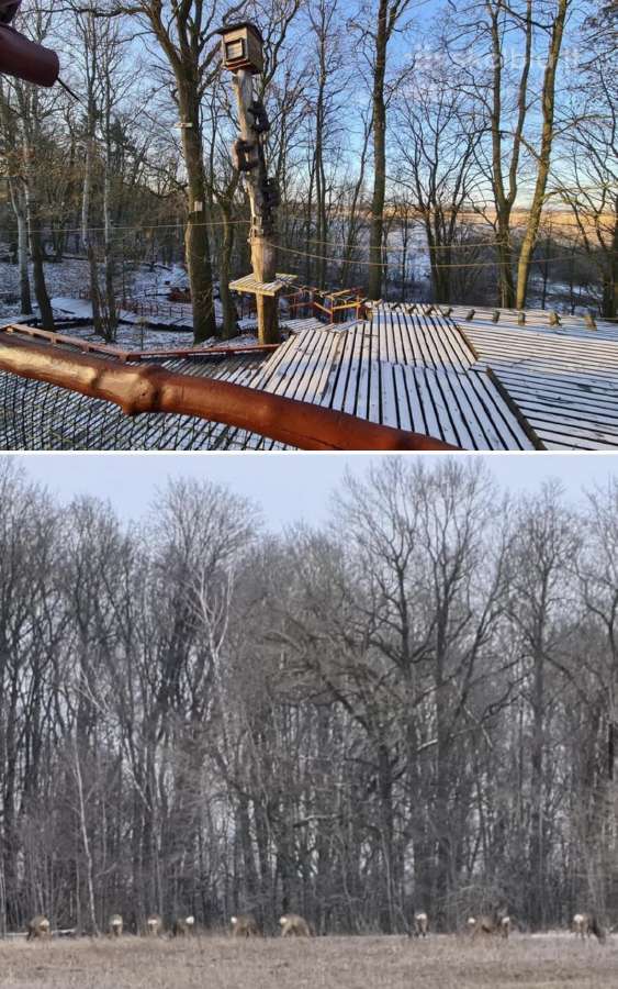 Parduodamas parkas - sodyba 3,6ha - nuotraukos Nr. 8