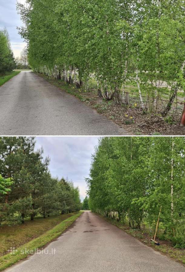Parduodamas parkas - sodyba 3,6ha - nuotraukos Nr. 23