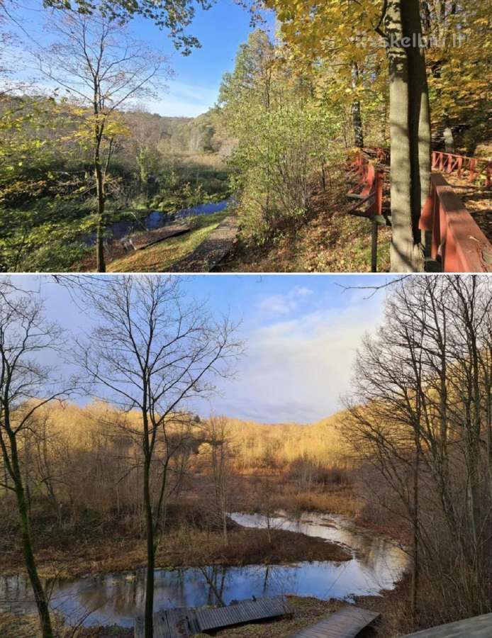 Parduodamas parkas - sodyba 3,6ha - nuotraukos Nr. 38