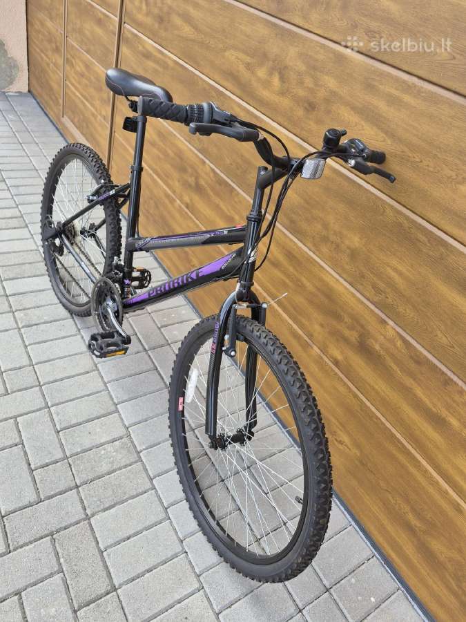 Pro Bike dviratis - nuotraukos Nr. 2