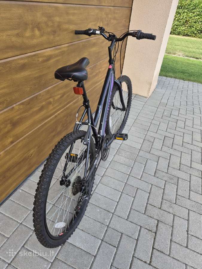 Pro Bike dviratis - nuotraukos Nr. 3