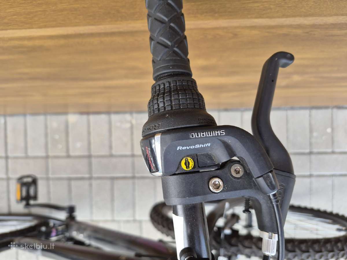Pro Bike dviratis - nuotraukos Nr. 9