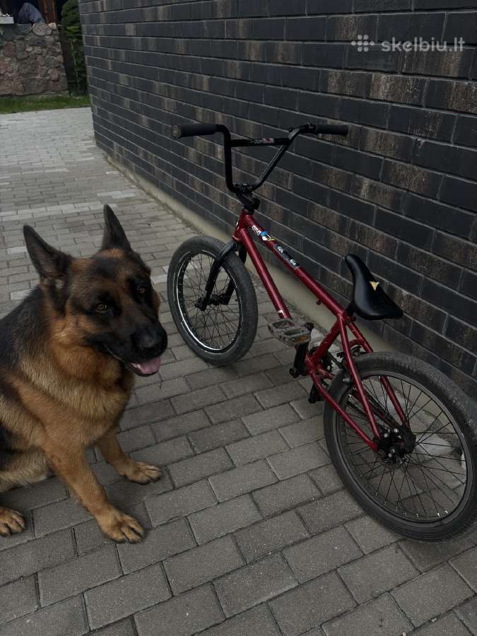 BMX ctm - nuotraukos Nr. 7