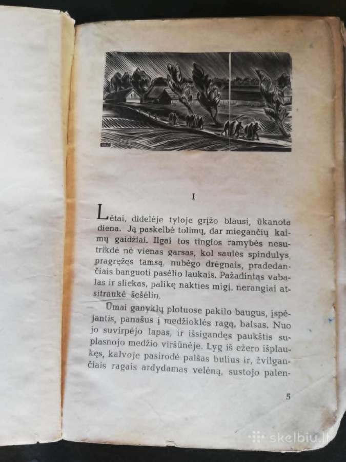 P.cvirka 1940m - nuotraukos Nr. 2