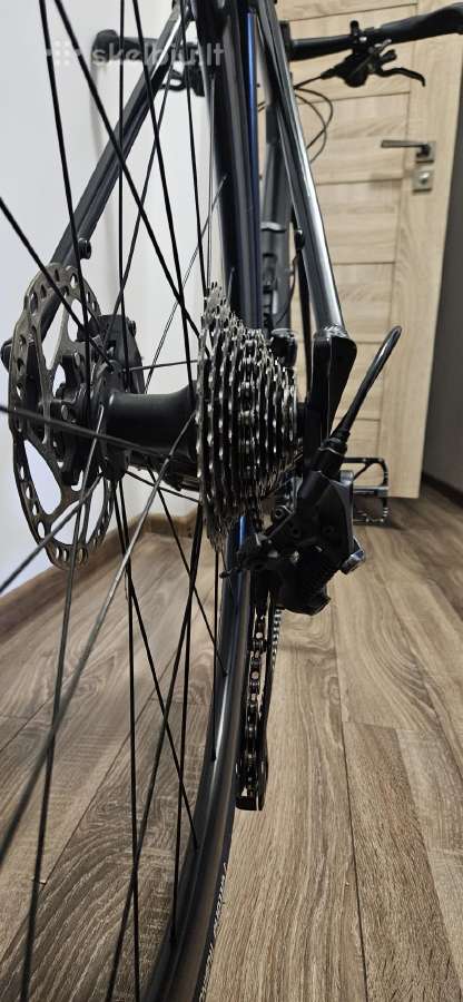 Canyon Roadlite AL SL 8.0, L, Ultegra 2x11 - nuotraukos Nr. 14