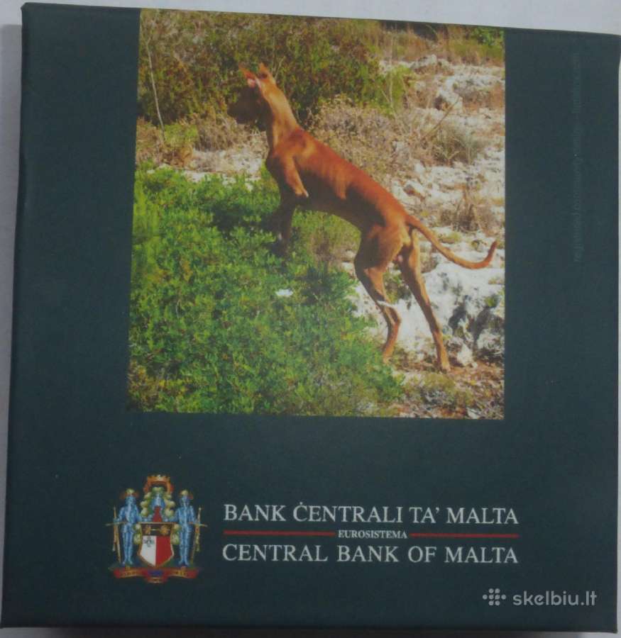 Malta 2026 Faraonų šuo Proof - nuotraukos Nr. 3