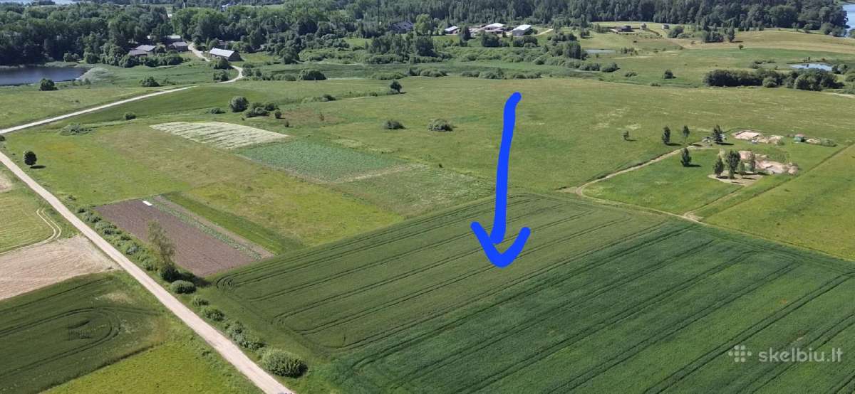 Parduodamas 84 a sklypas Širvintų raj. Kaimynų k. - nuotraukos Nr. 2