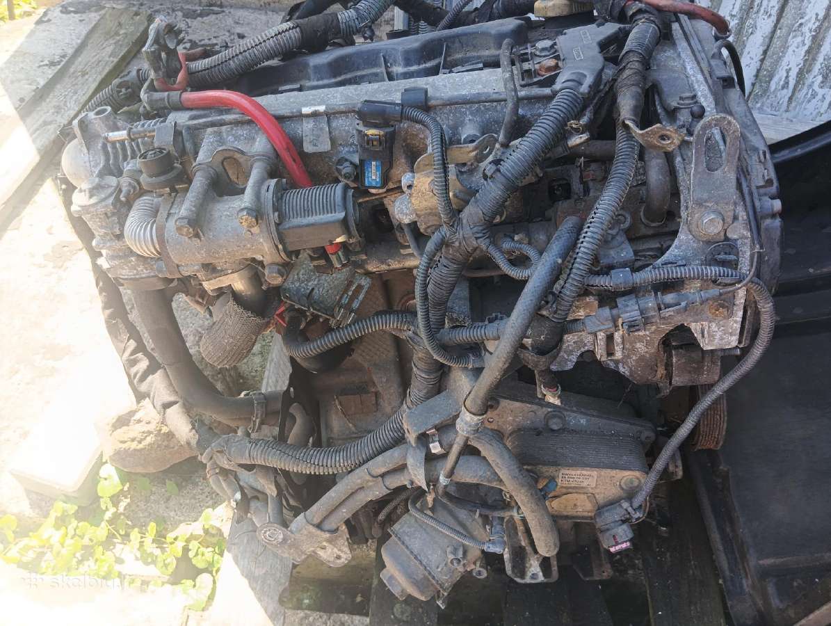 Opel zafira b 1.9 88 kw Z19dt variklis - nuotraukos Nr. 2