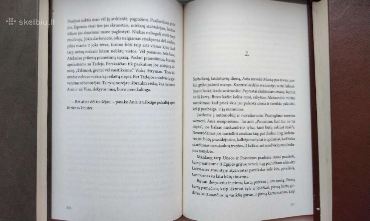G. Vojnovič. Figmedis - nuotraukos Nr. 8