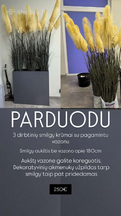 Dirbtinės smilgos - nuotraukos Nr. 4