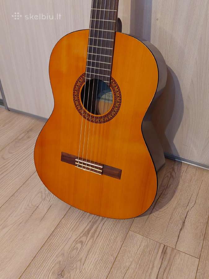 Gitara - nuotraukos Nr. 4
