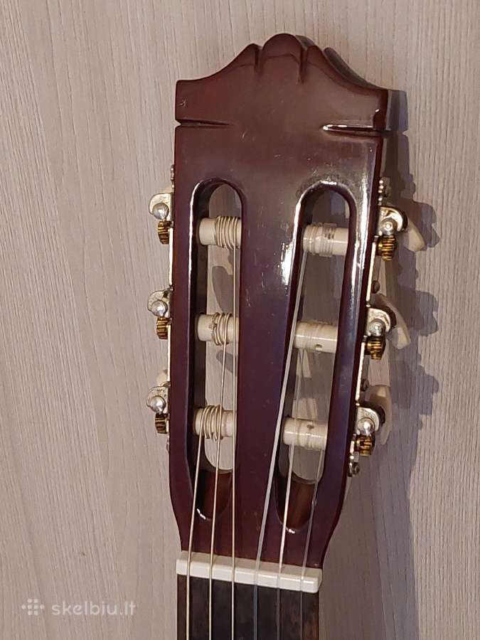 Gitara - nuotraukos Nr. 2